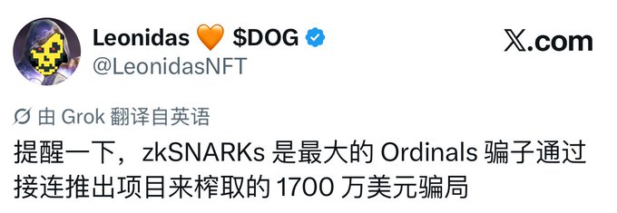 A tweet from @LeonidasNFT (display name "Leonidas 🧡 $DOG", verified) posted in Chinese, with a Grok translation note from English, stating: "提醒一下，zkSNARKS 是最大的 Ordinals 骗子通过接连推出项目来榨取的 1700 万美元骗局" — warning that zkSNARKS is the biggest Ordinals scam involving $17 million extracted through successive project launches. This matches the accompanying context of $DOG founder @LeonidasNFT publicly questioning the Zcash NFT project @zksnarks_ as a $17 million scam by the Ordinals team.