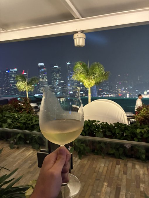 A nighttime photograph taken from a rooftop bar or restaurant, showing a hand holding a glass of white wine with an illuminated city skyline and palm trees in the background.