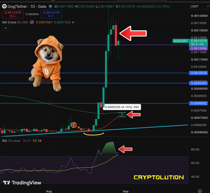 A TradingView chart of Dog/Tether (DOGUSDT) shows a significant price surge, decorated with a meme of a Shiba Inu dog wearing an orange Bitcoin hoodie.