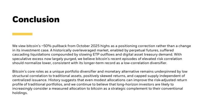 A document slide titled 'Conclusion' discussing bitcoin's ~50% pullback from October 2025 highs, attributing it to perpetual futures liquidations and ETF outflows, while arguing for bitcoin's role as a portfolio diversifier.