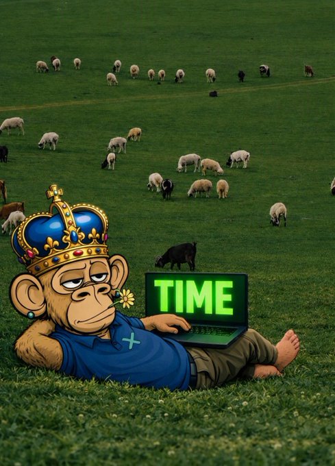 A cartoon monkey wearing a crown and blue shirt uses a laptop displaying 'TIME' in green text, lying in a field of sheep.