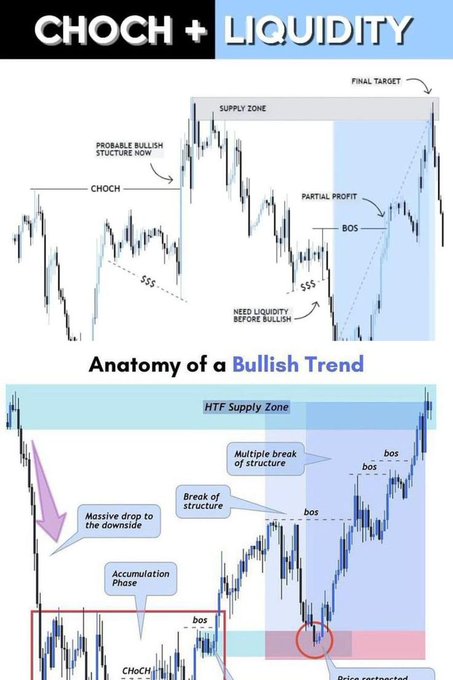 An educational trading infographic titled 'CHoCH + LIQUIDITY' showing 'Anatomy of a Bullish Trend' with labeled components including Supply Zone, Break of Structure (BOS), Change of Character (CHoCH), Accumulation Phase, and HTF Supply Zone.