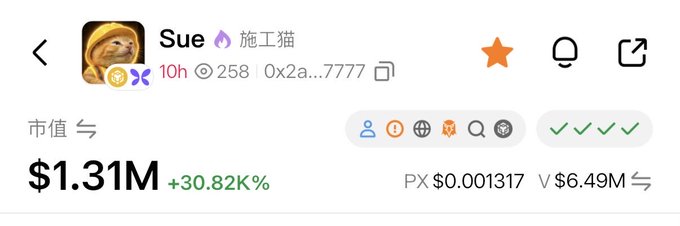 A cryptocurrency tracker showing token 'Sue 施工猫' with a market cap of $1.31M (+30.82%), price $0.001317, and 258 holders.