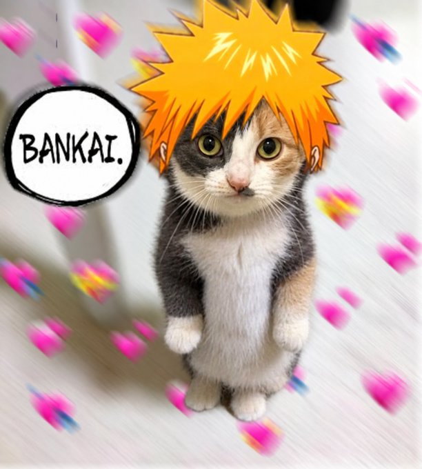 A cat standing on its hind legs edited with a spiky orange anime-style hairpiece, surrounded by floating pink hearts, with a speech bubble reading 'BANKAI.'