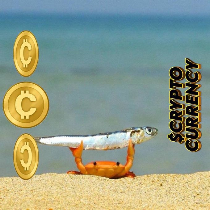 A graphic features three gold cryptocurrency coins beside a crab holding a fish in its claws on a beach, with text reading 'SCRYPTOY CURRENCY'.