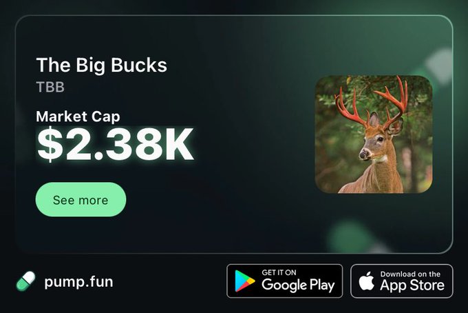 A pump.fun listing card displays 'The Big Bucks' (TBB) token with a market cap of $2.38K, featuring a deer image.