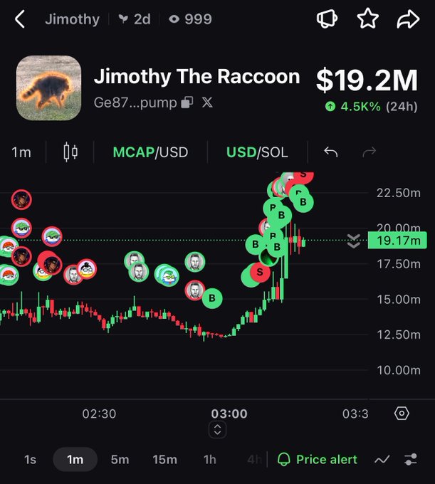 A cryptocurrency trading chart showing 'Jimothy The Raccoon' (Ge87...pump) with a market cap of $19.2M, up 4.5% in 24 hours, displaying buy/sell pressure indicators on the MCAP/USD chart.