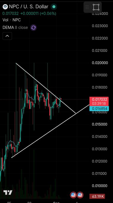 A cryptocurrency trading chart showing NPC / U.S. Dollar priced at 0.017032, up +0.06%, displaying a candlestick chart with a symmetrical triangle pattern drawn in white lines on a dark background.