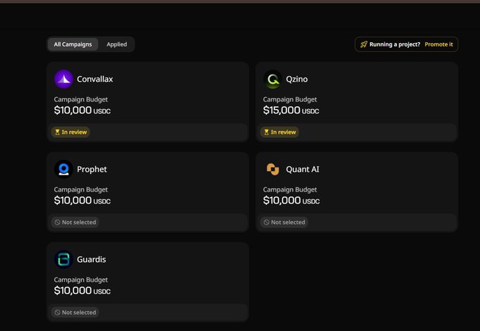 A dashboard displaying campaign applications with budgets including Qzino at $15,000 USDC (In review) and others like Convallax, Prophet, Quant AI, and Guardis at $10,000 USDC, none of which are selected. The image supports the post's claim that the Qzino campaign stands out with a higher budget, while the other campaigns shown remain unselected.