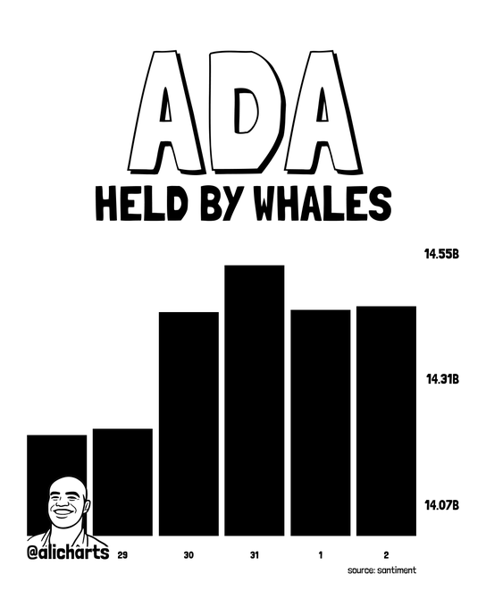 A black-and-white bar chart titled "ADA HELD BY WHALES" displays data from @alicharts showing Cardano whale holdings increasing from approximately $14.07B to $14.55B over a five-day period (29 through 2), sourced from Santiment. The chart visualizes the accumulation of over 240 million ADA by whales that coincided with Cardano's 22% price surge.