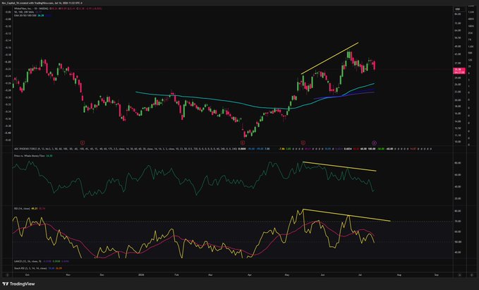A TradingView daily chart of Royalty Management Holding Corporation (RMCO) showing a clear bearish divergence pattern, with price making higher highs while the RSI and Whale Net Stoop Index indicators trend downward. The annotations highlight weakening momentum despite the recent price rally, supporting the bearish divergence thesis the post describes.

**Note:** The caption above reflects what is visible in the image, though the post references $WYFI while the chart actually displays RMCO.