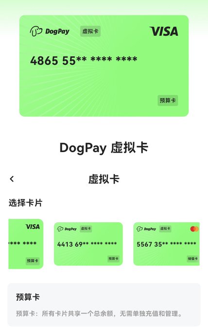 The image shows the DogPay virtual card interface displaying a green VISA prepaid card with number "4865 55** **** ****" along with three card selection options at the bottom. This relates to the post by showcasing the initial virtual card and additional card options available after completing KYC verification through Sumsub.