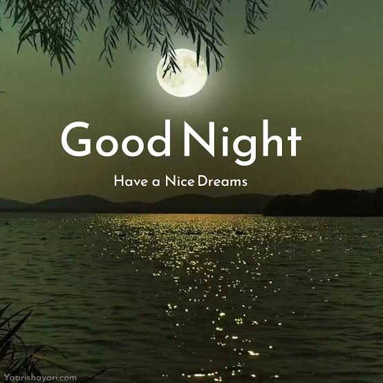 The image features a beautiful nighttime scene with a full moon illuminating the sky over a body of water. The text "Good Night" is written above the moon, and "Have a Nice Dreams" is below it. The background includes a lake or ocean reflecting the moonlight, creating a serene atmosphere for the night.
