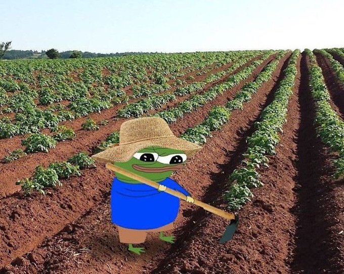 A green Pepe the Frog character wearing a straw hat and blue shirt, holding a hoe while working in a large agricultural field of crops with brown soil rows.