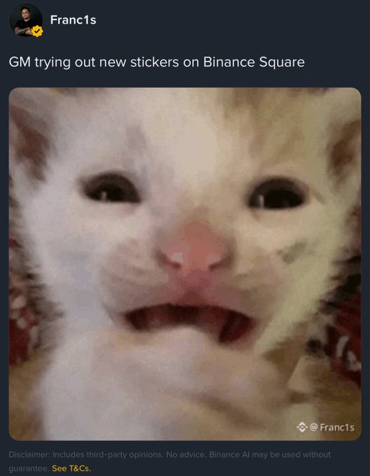 A screenshot of a social media post by user "Franc1s" with the caption "GM trying out new stickers on Binance Square" above a close-up image of a smiling white cat.
