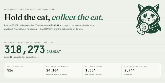 A dashboard for the $CATSTR token shows "Hold the cat, collect the cat" with 318,273 $CASHCAT paid as dividends across 116 payouts, reaching 516 holders and 1,554 wallets, aligning with the post's update on Day #2.
