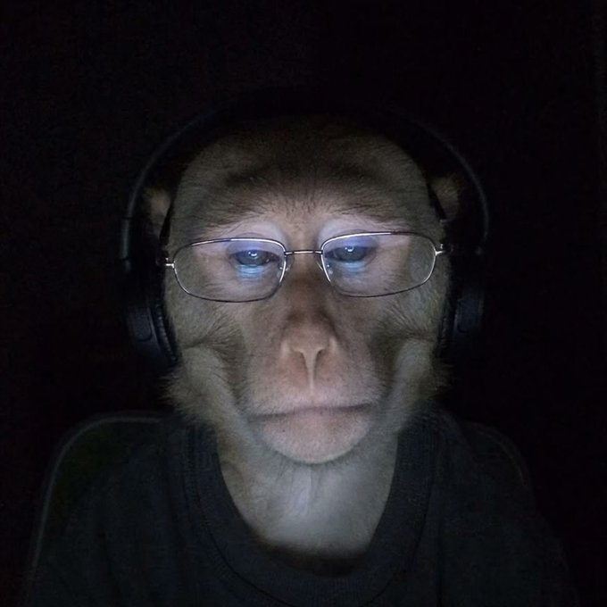 A close-up portrait of a monkey wearing rectangular glasses and headphones against a dark background, with light reflecting off its lenses.