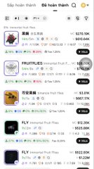 A screenshot of a mobile app displaying a "Đã hoàn thành" (Completed) section with various fruit/insect themed meme coin purchases, including 菜菜 (509.0K), FRUITFLIES (167.0K), 飞行家脑 (46.0K), FLY (135.0K), and FLY (822.0K). The image relates to the post's mention of a "fly swarm" trend on Binance, showing multiple completed "fly" themed meme coin buys (like FLYBRAIN/飞行家脑 and FLY) that align with the user's discussion of catching the fly-themed token trend early.