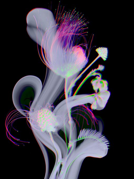 A surreal digital artwork on black background featuring translucent flowing shapes with neon pink, green, and blue iridescent flower-like forms with wispy tendrils.