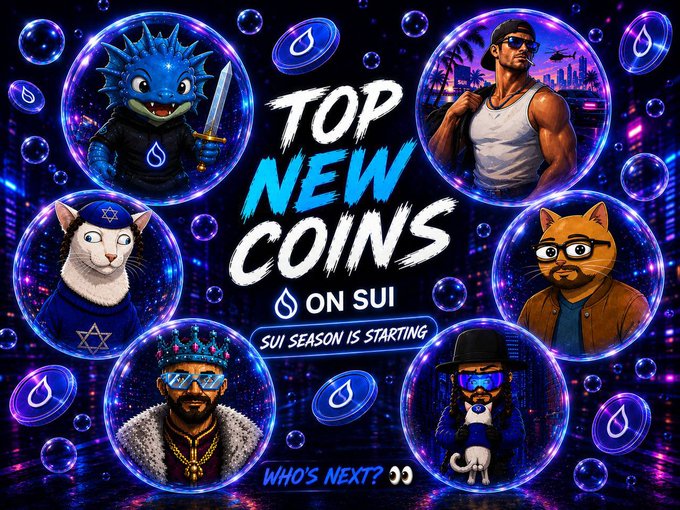 A promotional graphic titled "TOP NEW COINS on SUI" featuring various cartoon characters in bubbles, with the tagline "SUI SEASON IS STARTING" and "WHO'S NEXT?"