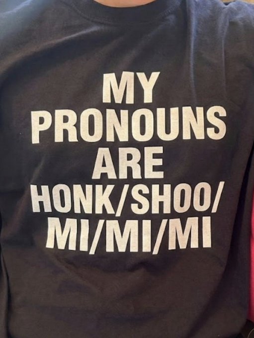A black t-shirt displaying the text "MY PRONOUNS ARE HONK/SHOO/MI/MI/MI" worn by a person whose face is not visible.