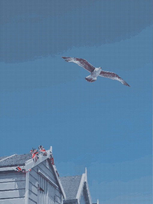 A seagull flies through a blue sky above rooftops decorated with British Union Jack bunting.