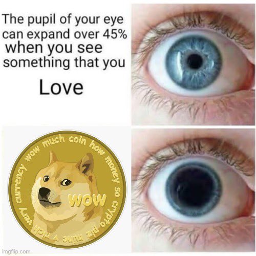 A meme with text "The pupil of your eye can expand over 45% when you see something that you Love" showing a normal-dilated blue eye, contrasted with a Dogecoin coin image and a heavily dilated dark eye, watermarked "imgflip.com".