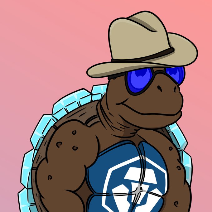 A cartoon illustration of a muscular brown turtle wearing a cowboy hat, blue sunglasses, and a blue tank top with a white geometric logo.