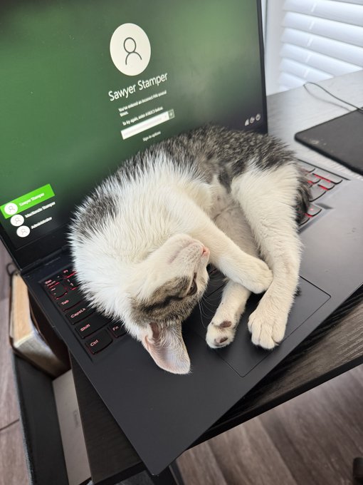 A black and white cat sleeps curled up on the keyboard of an open laptop displaying a user login screen with the name 'Sawyer Stamper'.