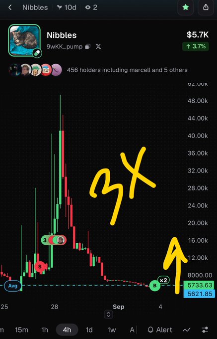A candlestick chart for the 'Nibbles' token ($5.7K, up 3.7%), showing price action over the last 4 hours with yellow hand-drawn arrows indicating a downward trend.