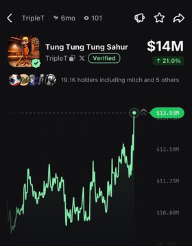 The image shows a price chart for the "Tung Tung Tung Sahur" token (ticker $TripleT) valued at $14M, with a 24-hour price increase of 21.0% to $13.93M, confirming the post's claim that the token is rallying. The chart displays recent upward momentum with 19.1K holders including "mitch" and 5 others.