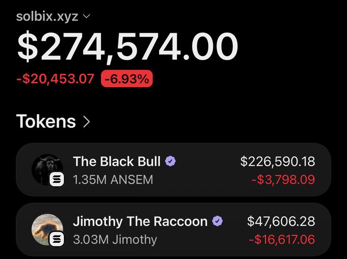 The image shows a solbix.xyz dashboard for wallet address solbix.xyz displaying a portfolio value of $274,574.00, down $20,453.07 (-6.93%), with holdings in "The Black Bull" ($226,590.18, holding 1.35M ANSEM) and "Jimothy The Raccoon" ($47,606.28, holding 3.03M Jimothy) — illustrating the significant losses on the $Jimothy token mentioned in the post.