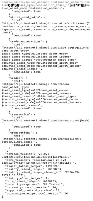 A screenshot of JSON code displaying source and destination account details, paths, and trade aggregations, with visible 'horizon_version', 'core_version', and 'ingest_latest_ledger' fields.