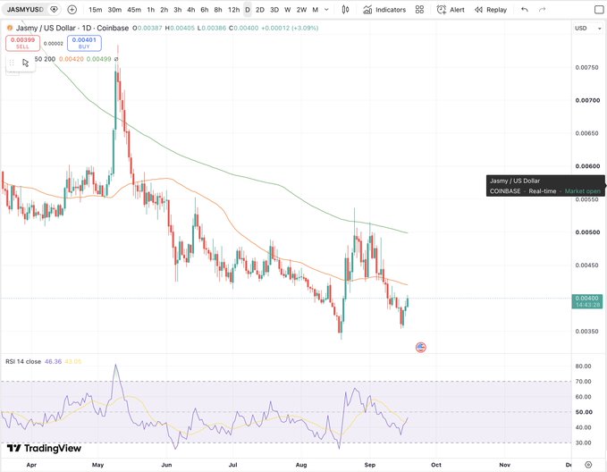 A TradingView candlestick chart of JASMY/USD on Coinbase showing a downtrend from April to October, with RSI 14 displayed at the bottom and the current price around $0.00401.
