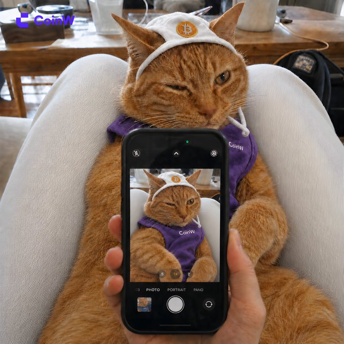 An orange tabby cat wearing a CoinW branded hoodie and a Bitcoin beanie is being photographed with a smartphone, with the phone screen showing the cat's image in the camera viewfinder.