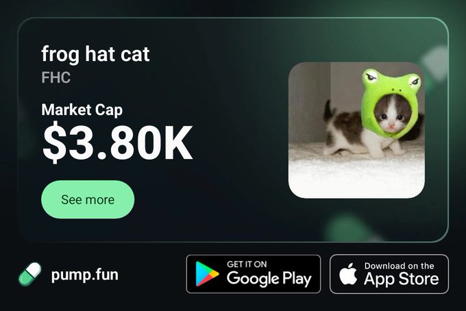 A promotional graphic for 'frog hat cat' (FHC) cryptocurrency with a $3.80K market cap on pump.fun, featuring an image of a small kitten wearing a green frog-shaped hat, along with Google Play and App Store download buttons.