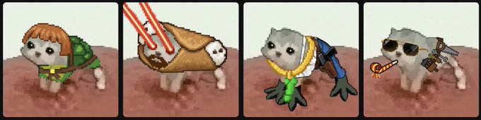 A meme showing four variations of a small kitten wearing different outfits (Ninja Turtle shell, burrito blanket, gold chain, sunglasses with gun).