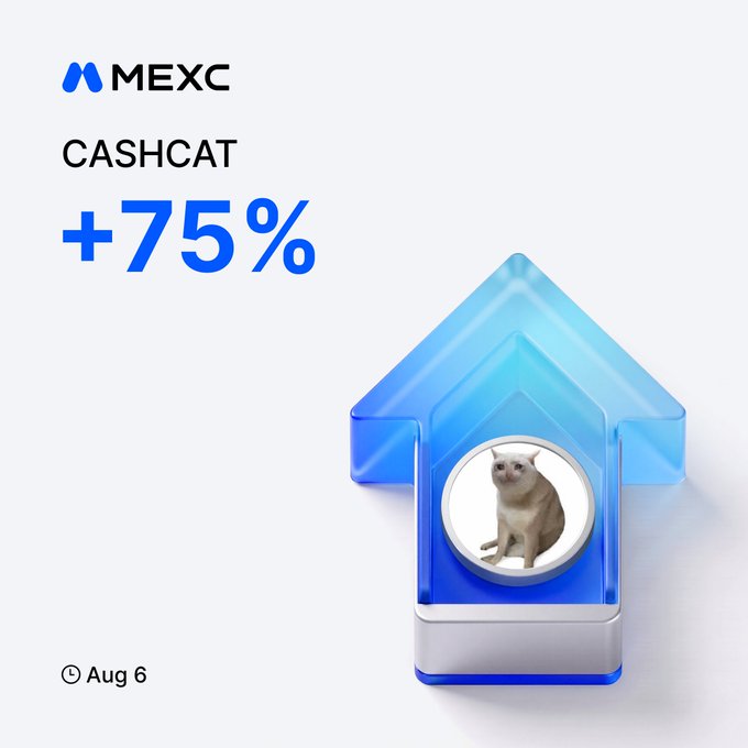 A promotional MEXC exchange graphic displaying "CASHCAT +75%" with a blue upward arrow icon featuring a cat image, dated Aug 6, highlighting the cryptocurrency's significant 24-hour price surge.