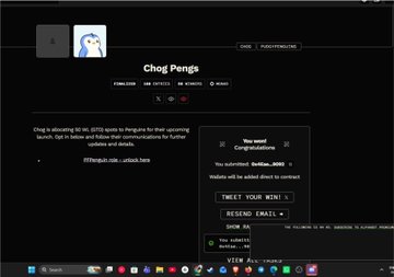 A website page for 'Chog Penga' featuring a penguin logo, requesting 90,000,000 QURO tokens to celebrate launching Burrito Coin, showing 300 entries so far with options to Tweet, Resend Email, or Show QR.