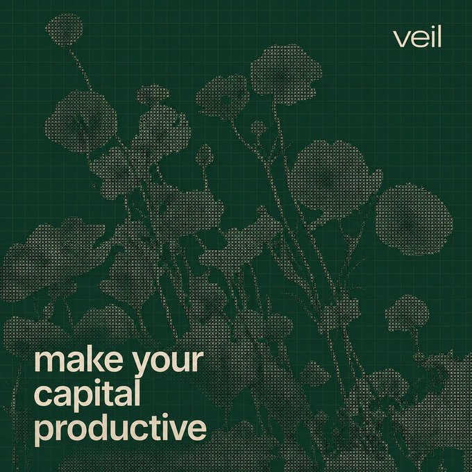 A dark green graphic design displays a halftone dot illustration of flowers with the text 'veil' in the top right corner and 'make your capital productive' in the bottom left.