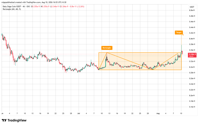 A TradingView chart for Baby Doge Coin (USDT) on the 4h timeframe shows a descending triangle pattern with a target projection marked above.