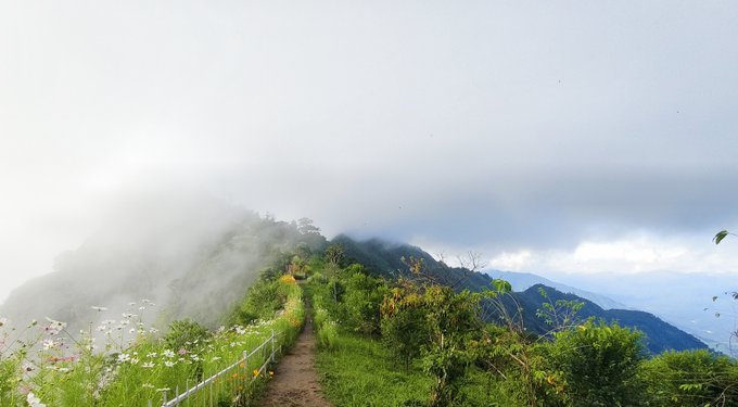 A misty mountain landscape with a narrow dirt path, white flowers, and lush greenery under an overcast sky.