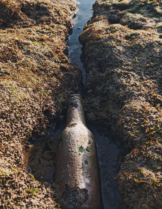 An old glass bottle covered in barnacles and marine growth lies wedged in a rocky crevice with water flowing around it.