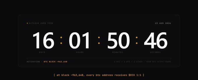 A countdown timer for a Bitcoin hard fork dated 22 Aug 2024 displays 16 days, 1 hour, 50 minutes, and 46 seconds remaining until BTC Block 963,648, when every BTC address will receive $ECX 1:1.