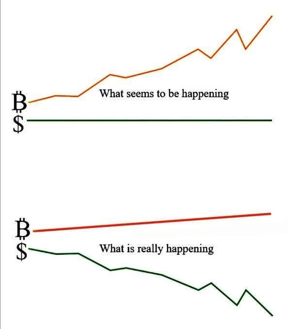 A two-part graph meme comparing Bitcoin and US Dollar values; the top section labeled "What seems to be happening" shows Bitcoin rising and the dollar stable, while the bottom section "What is really happening" shows the actual purchasing power with Bitcoin stable and the dollar declining.