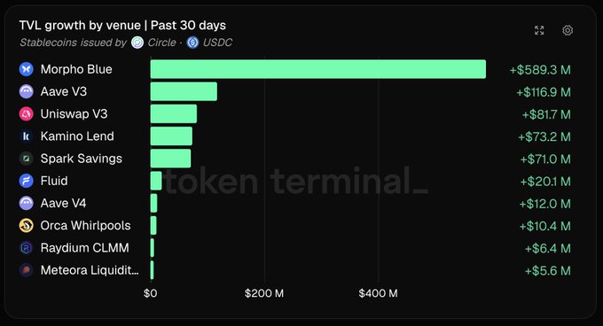 A bar chart titled 'TVL growth by venue | Past 30 days' from token terminal_ showing stablecoin growth, with Morpho Blue leading at +$589.3 M, followed by Aave V3 and Uniswap V3.