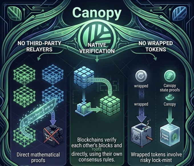 An infographic about 'Canopy Native Verification' highlighting 'NO THIRD-PARTY RELAYERS', 'NATIVE VERIFICATION', and 'NO WRAPPED TOKENS' with diagrams explaining direct mathematical proofs and wrapped tokens.