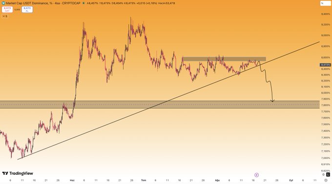 A TradingView chart shows the USDT Dominance (CRYPTOCAP:USDTDOM) at 8.467%, up 1.872%, trading near the 8.872% resistance zone highlighted in blue, with an ascending trendline suggesting a potential breakdown toward the 7.900% support area.