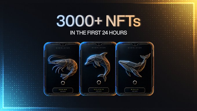 The image showcases the milestone of "3000+ NFTs in the first 24 hours," featuring three stylized digital trading cards with geometric designs labeled "Shrimp IPFS08," "Dolphin IPFS08," and "Whale IPFS08," all under the "OceanLayer" brand. The futuristic neon aesthetic and prominent stat visually emphasize the project's rapid launch success mentioned in the accompanying post about the whitelist mint ending soon.