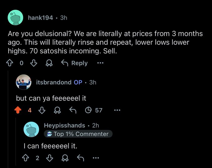 A Reddit comment thread where user 'hank194' writes about lower prices and selling, user 'itsbrandond OP' comments 'but can ya feeeeel it' with 4 upvotes, and 'Heypisshands' replies 'I can feeeeeel it.'